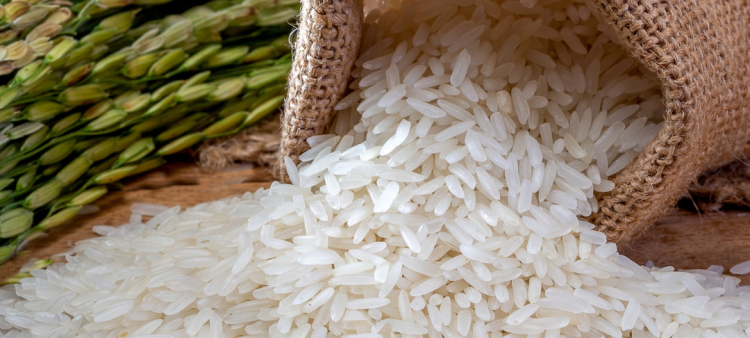 Reducción del 86% en Importaciones de Arroz y del 50% en Azúcar