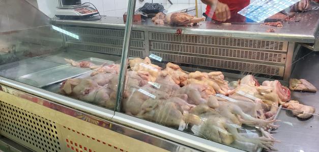 Persiste escasez de pollo según pequeños productores avícolas de Moca