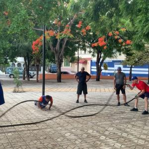 La Deficiencia de Vitamina D: Una Causa Desconocida de Enfermedades en la Población Dominicana