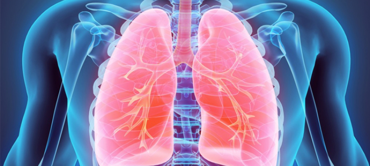 Beneficios del ejercicio físico en el tratamiento del cáncer pulmonar