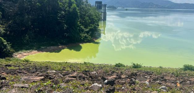 Impacto de la Contaminación en la Pesca de Cotuí: Caso de la Presa de Hatillo