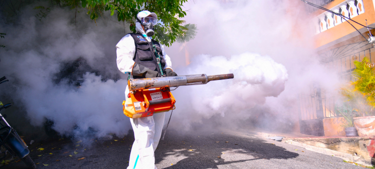 República Dominicana registra 31 casos de dengue en 2026