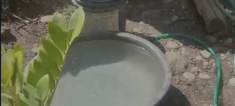 Persistencia de la escasez de agua potable en Navarrete