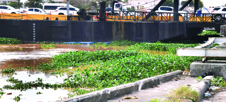 El puente flotante del río Ozama se llena de Las Lilas y objetos diversos