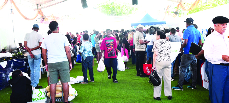 Gran afluencia por bajos precios en la Feria Agropecuaria