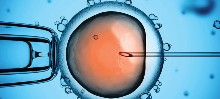 La preservación de la fertilidad mediante la congelación de óvulos en mujeres a partir de los 35 años