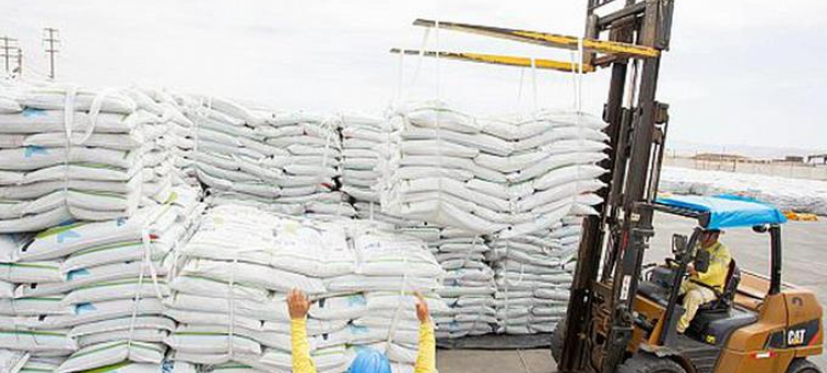Aumento del 40% en los Insumos: Industria de la Harina Ajustará Precios