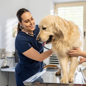 La pasión por los animales: 700+ estudiantes cursan Medicina Veterinaria en el país