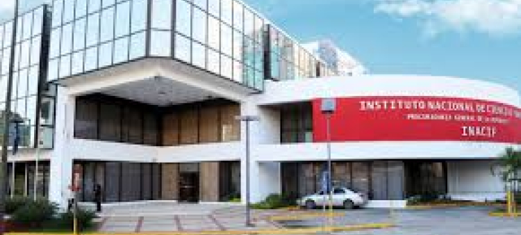 Incineración de más de 8 toneladas de drogas por el Inacif en el primer trimestre de 2026