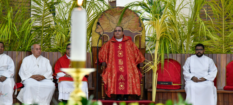 La Significación del Domingo de Ramos en la Iglesia Católica