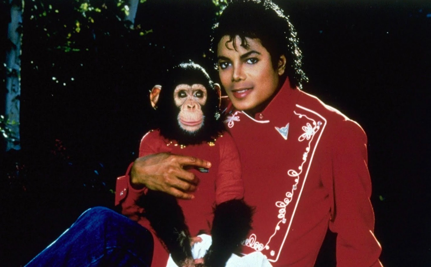 El destino de Bubbles: El chimpancé que compartió la vida con Michael Jackson