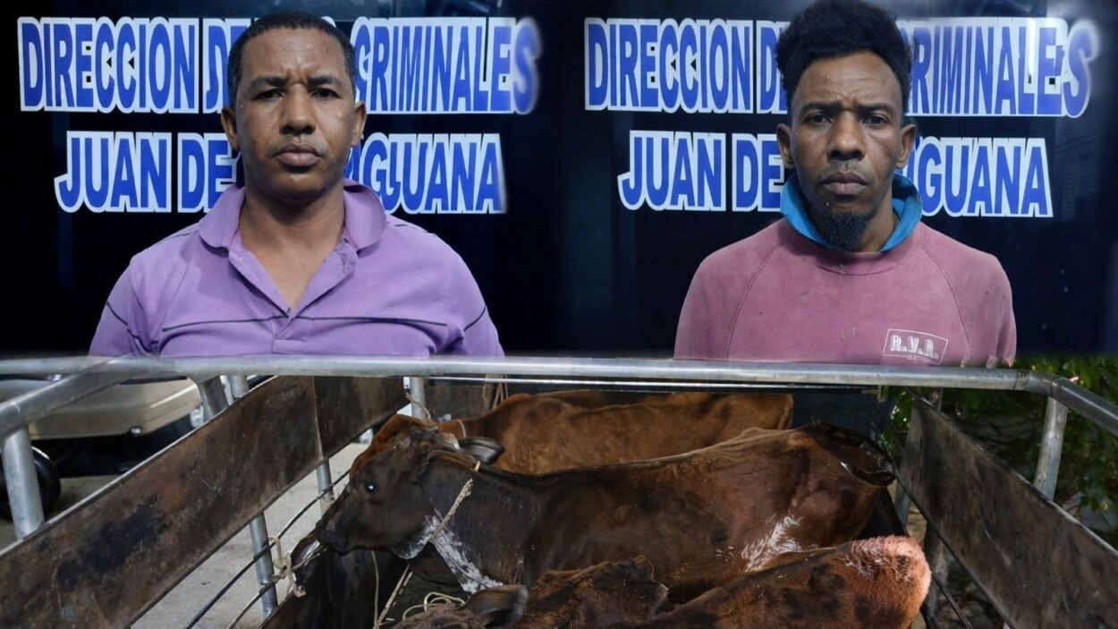 Detienen a dos hombres por robo de ganado en San Juan