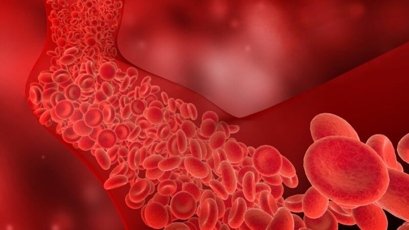 El colesterol: la amenaza silenciosa para el corazón y el cerebro