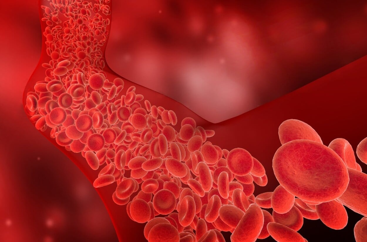 El colesterol: la amenaza silenciosa para el corazón y el cerebro