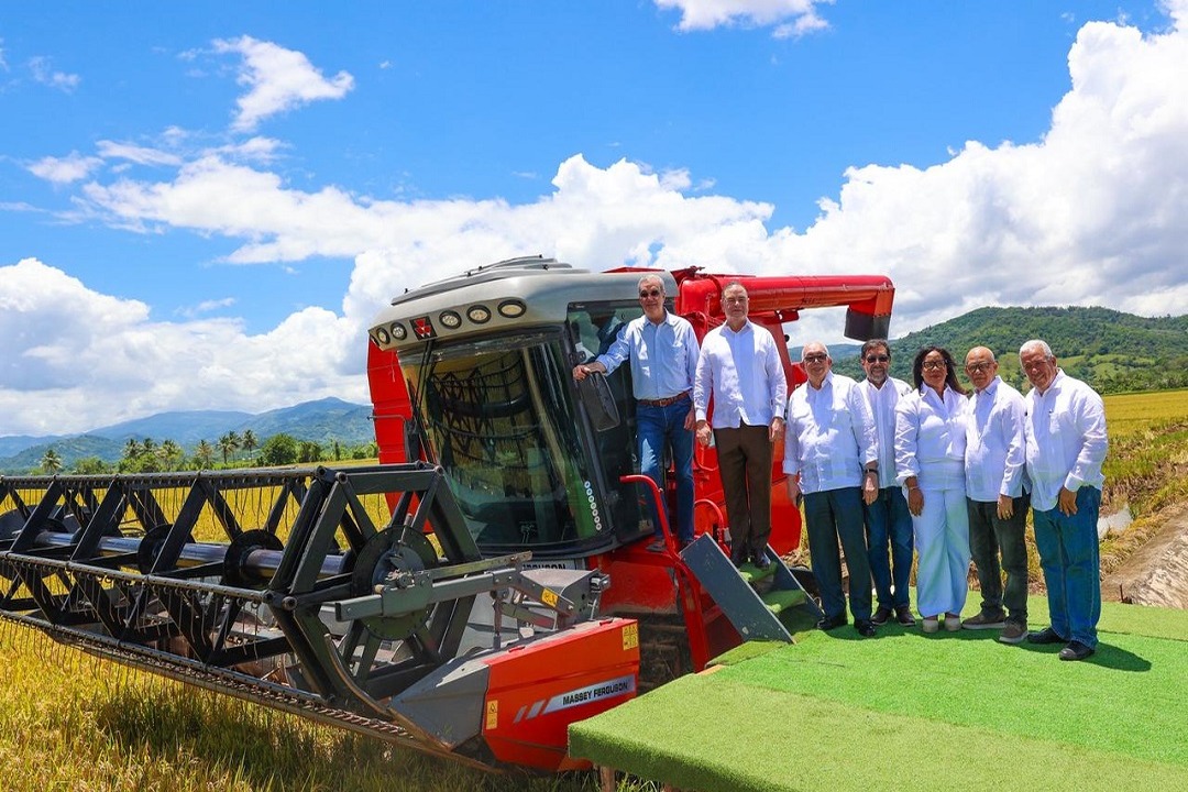 República Dominicana lidera la producción de arroz en el Caribe y Centroamérica
