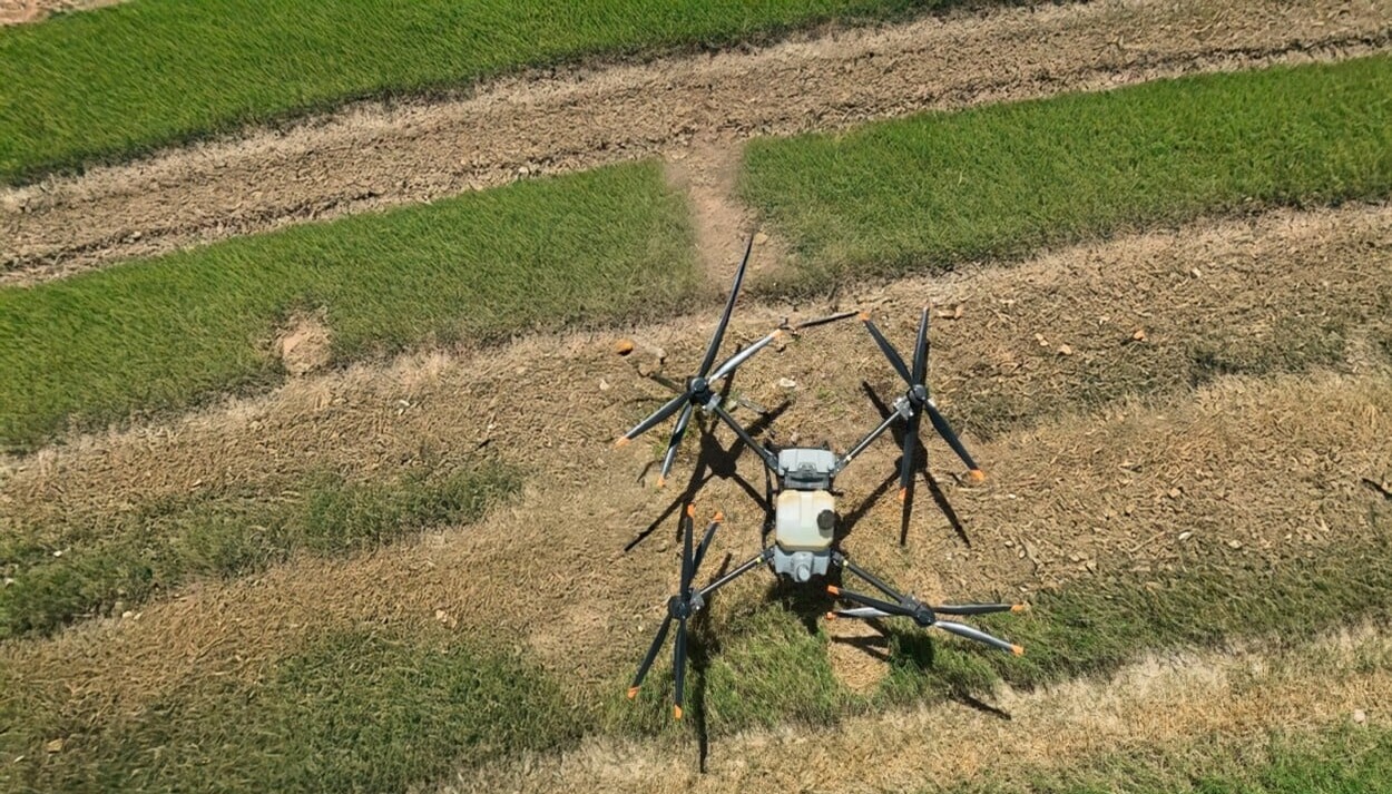 Innovaciones tecnológicas transforman la agricultura en República Dominicana