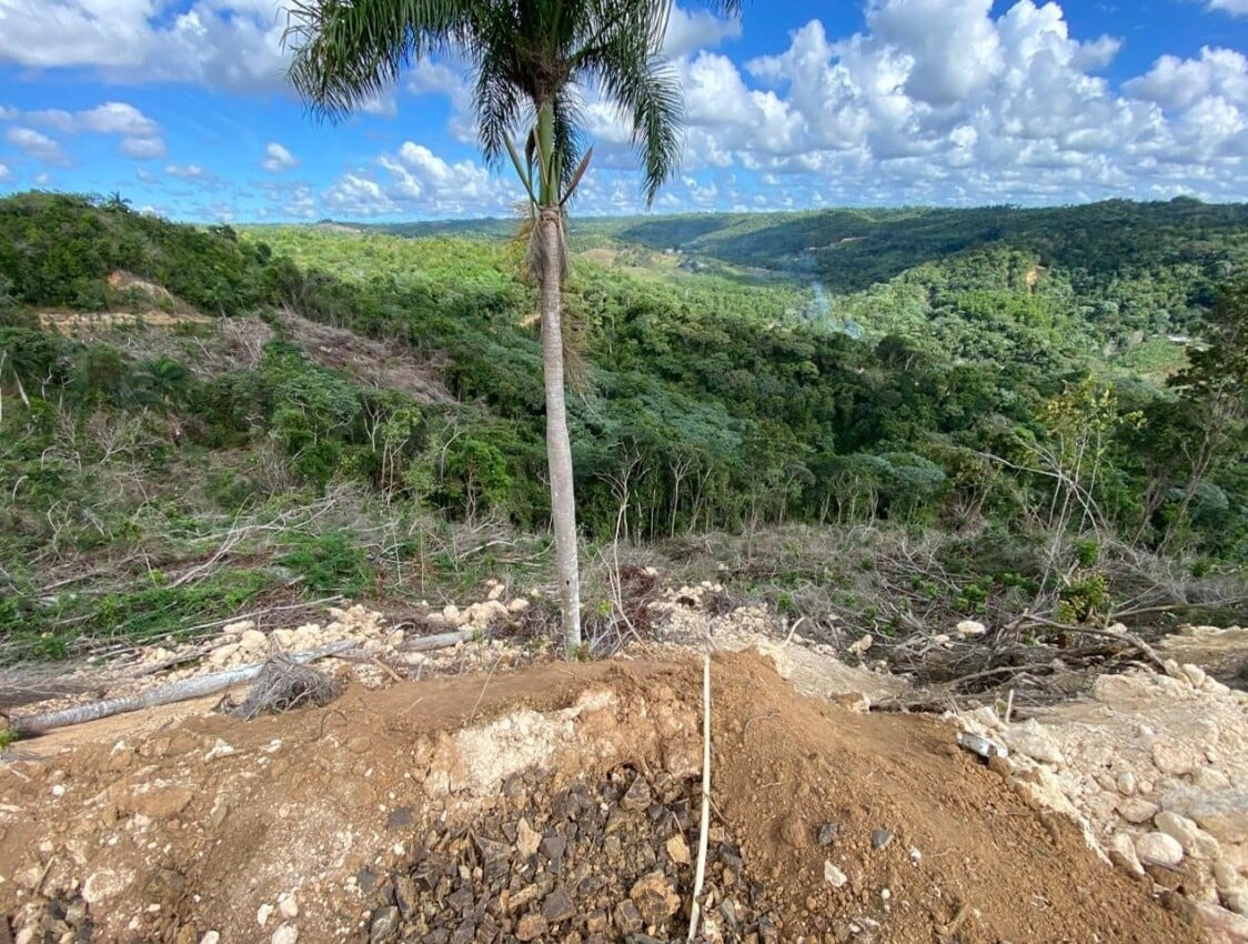 Alarma en Monte Plata por tala de bosques en área crítica del río Boyá