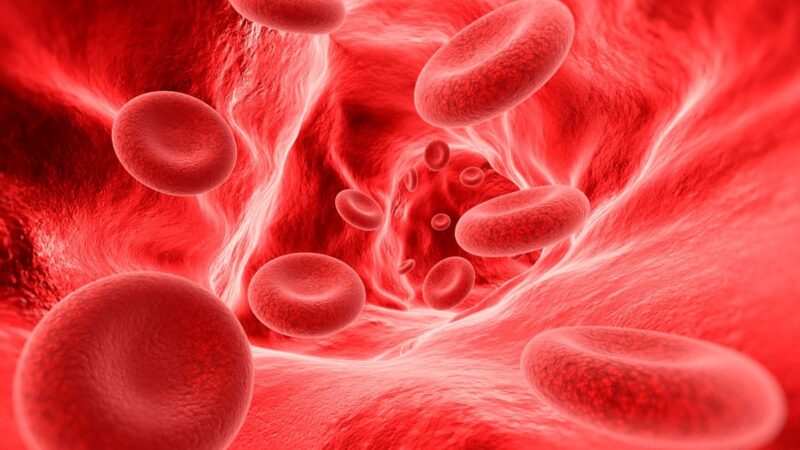 Día Mundial de la Hemofilia: La mayoría desconoce su condición