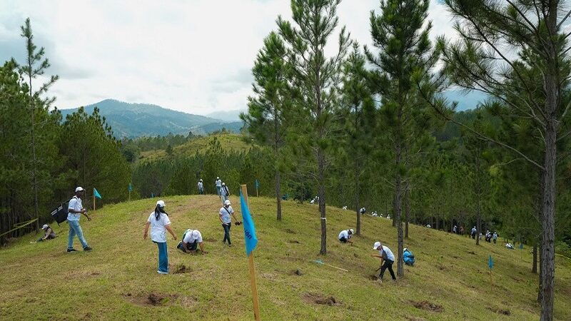 El Voluntariado Popular impulsa la reforestación en San José de las Matas