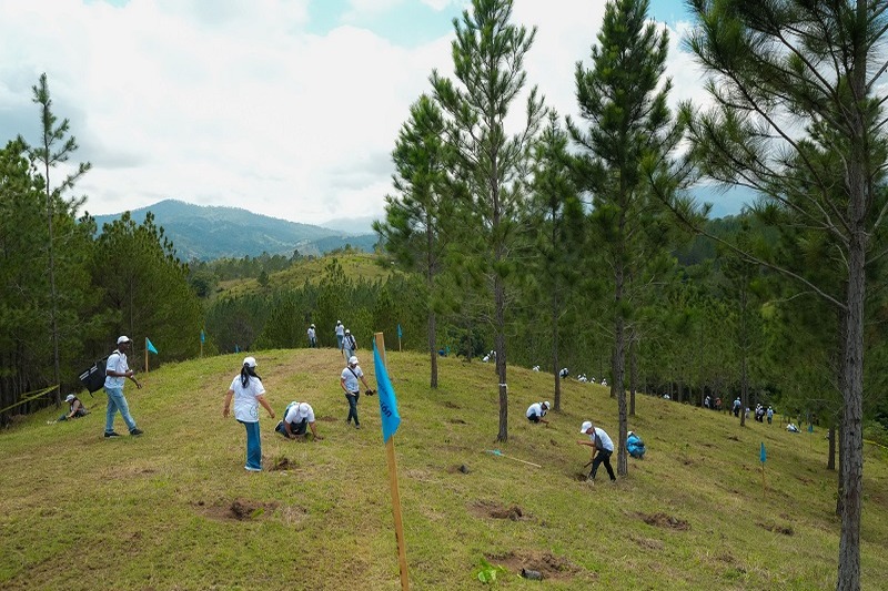 El Voluntariado Popular impulsa la reforestación en San José de las Matas