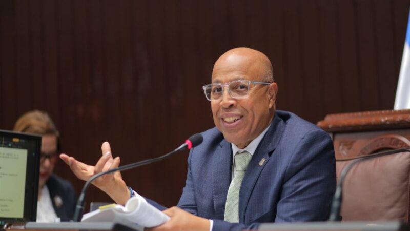 Pacheco asegura que diputados revisan cada proyecto de ley