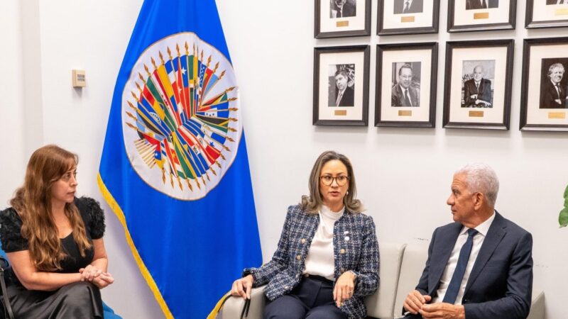 República Dominicana y OEA unen fuerzas contra las drogas sintéticas
