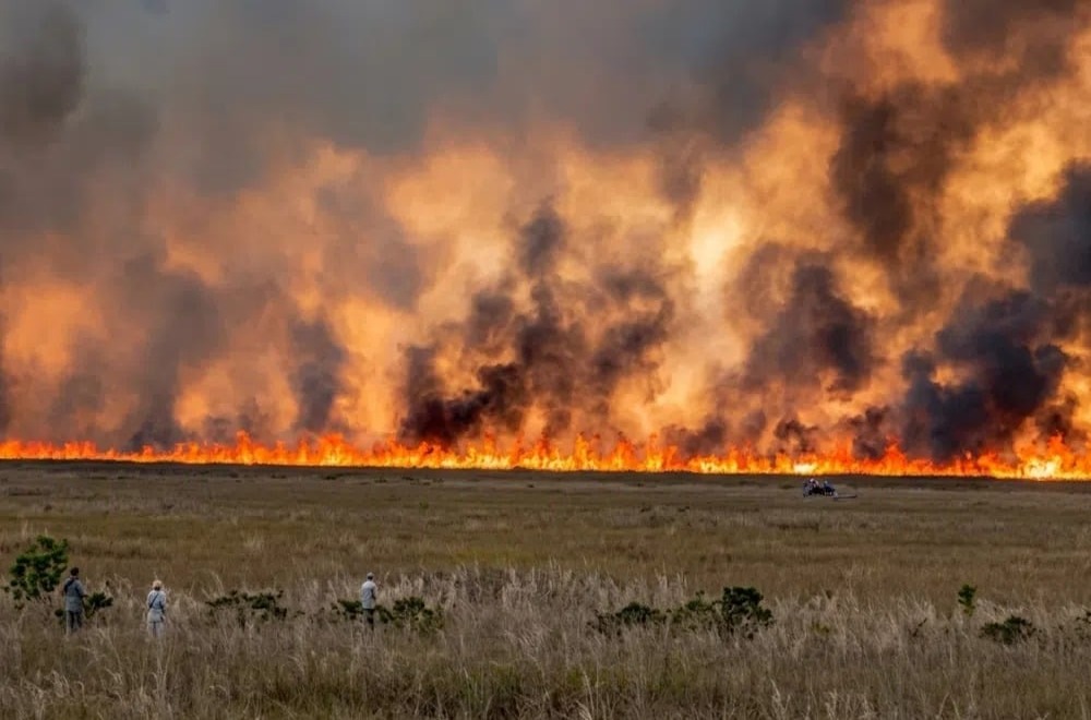 Incendio forestal en Miami genera alerta por densa nube de humo