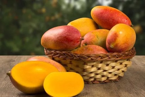 Desafíos del mango dominicano ante el cambio climático y el comercio internacional