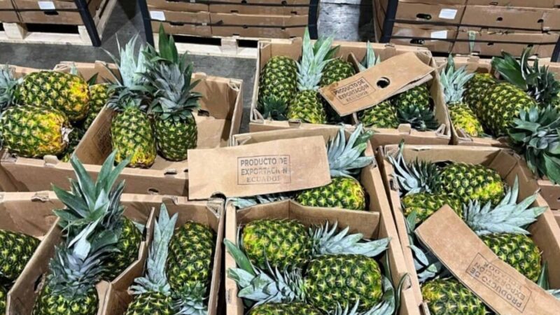 Incautan dos toneladas de droga en contenedor con destino a Países Bajos en Ecuador