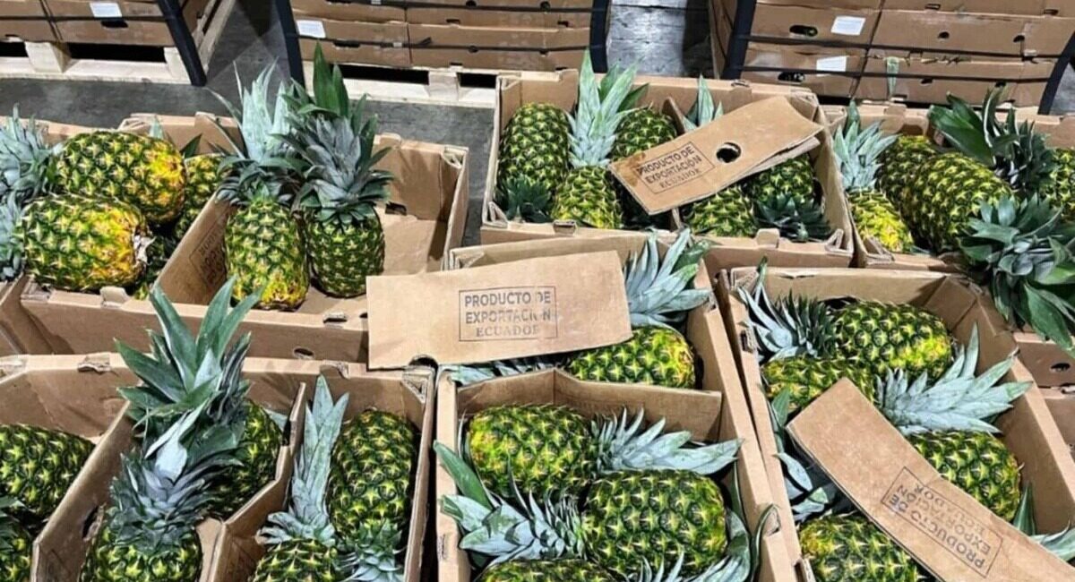 Incautan dos toneladas de droga en contenedor con destino a Países Bajos en Ecuador