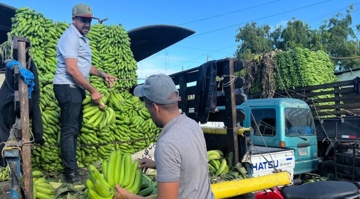 Aumento en el precio del guineo verde afecta a consumidores