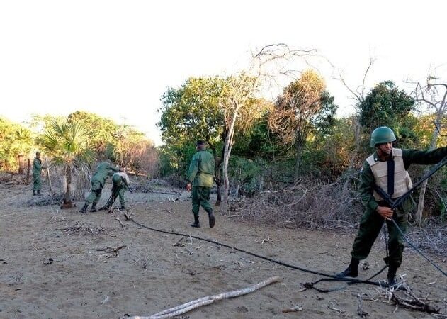 Urgen medidas contra la ocupación ilegal de las dunas de Baní