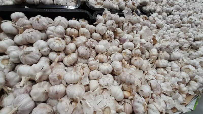 Comerciantes claman por intervención estatal ante alza del ajo