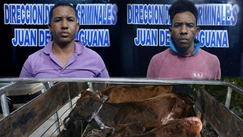 Detienen a dos hombres por robo de ganado en San Juan