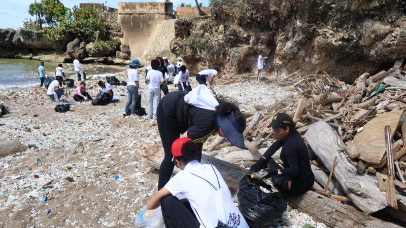 Voluntarios recogen toneladas de plástico en Playa Montesinos