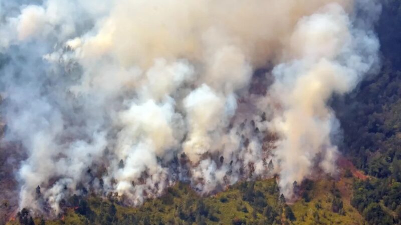 Incendio forestal en Pinar del Río arrasa con más de 400 hectáreas