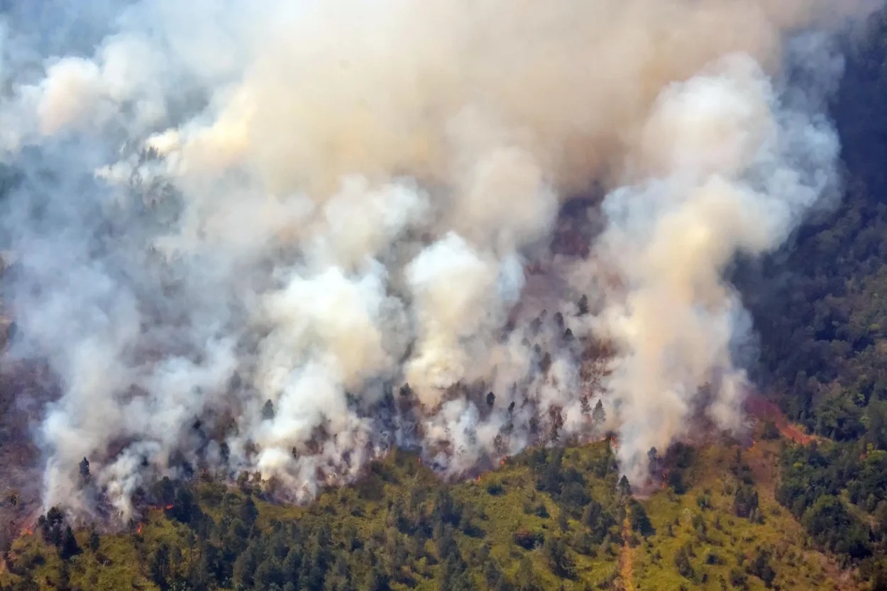 Incendio forestal en Pinar del Río arrasa con más de 400 hectáreas