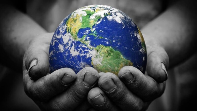 La Hora Crítica de la Madre Tierra: Datos Alarmantes sobre la Crisis Ambiental