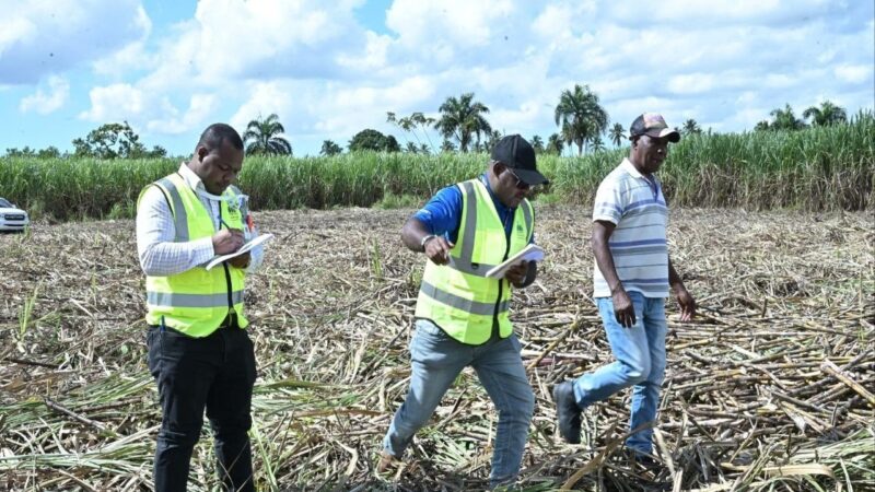 Gobierno intensifica esfuerzos para eliminar el trabajo infantil en República Dominicana