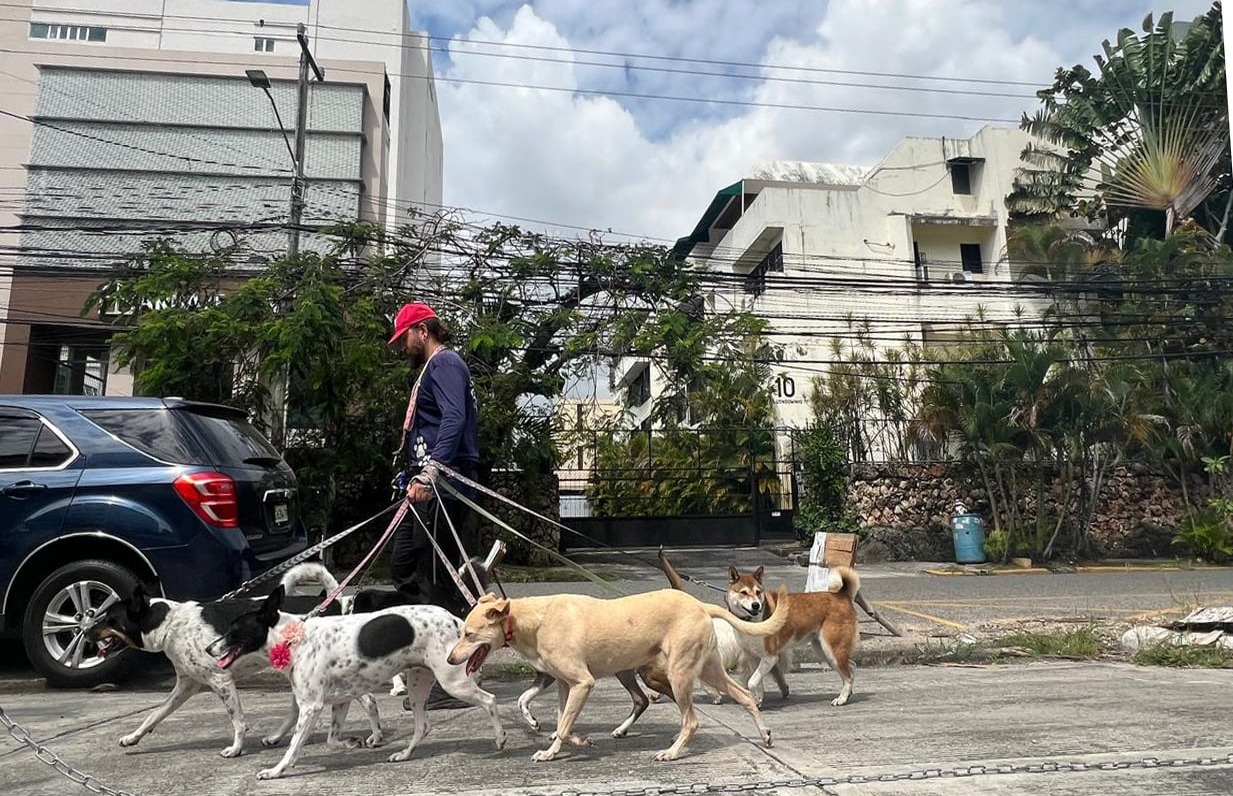 El Paseo Canino: Un Nuevo Horizonte en el Distrito Nacional