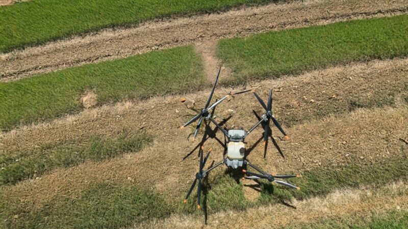 Innovaciones tecnológicas transforman la agricultura en República Dominicana