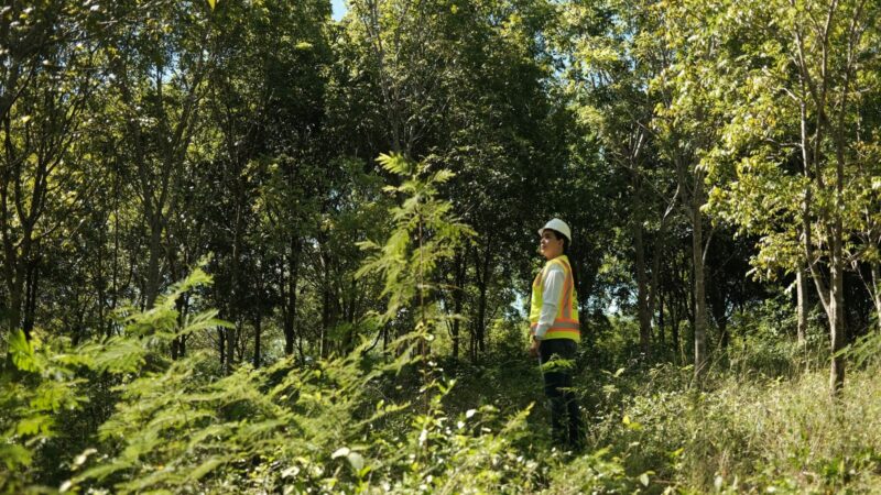 CAMIPE aboga por reforma legal en minería para protección ambiental