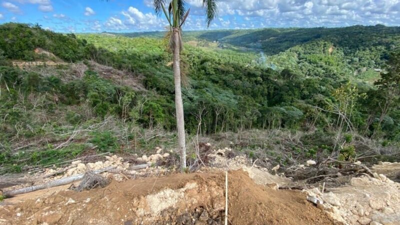 Alarma en Monte Plata por tala de bosques en área crítica del río Boyá