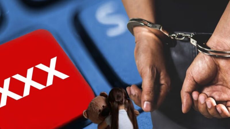 Desmantelan red de pornografía infantil en Asia con más de 300 arrestos