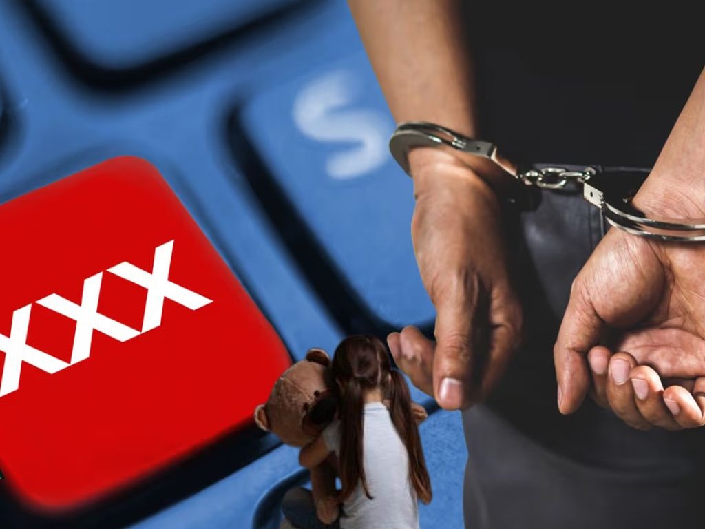 Desmantelan red de pornografía infantil en Asia con más de 300 arrestos