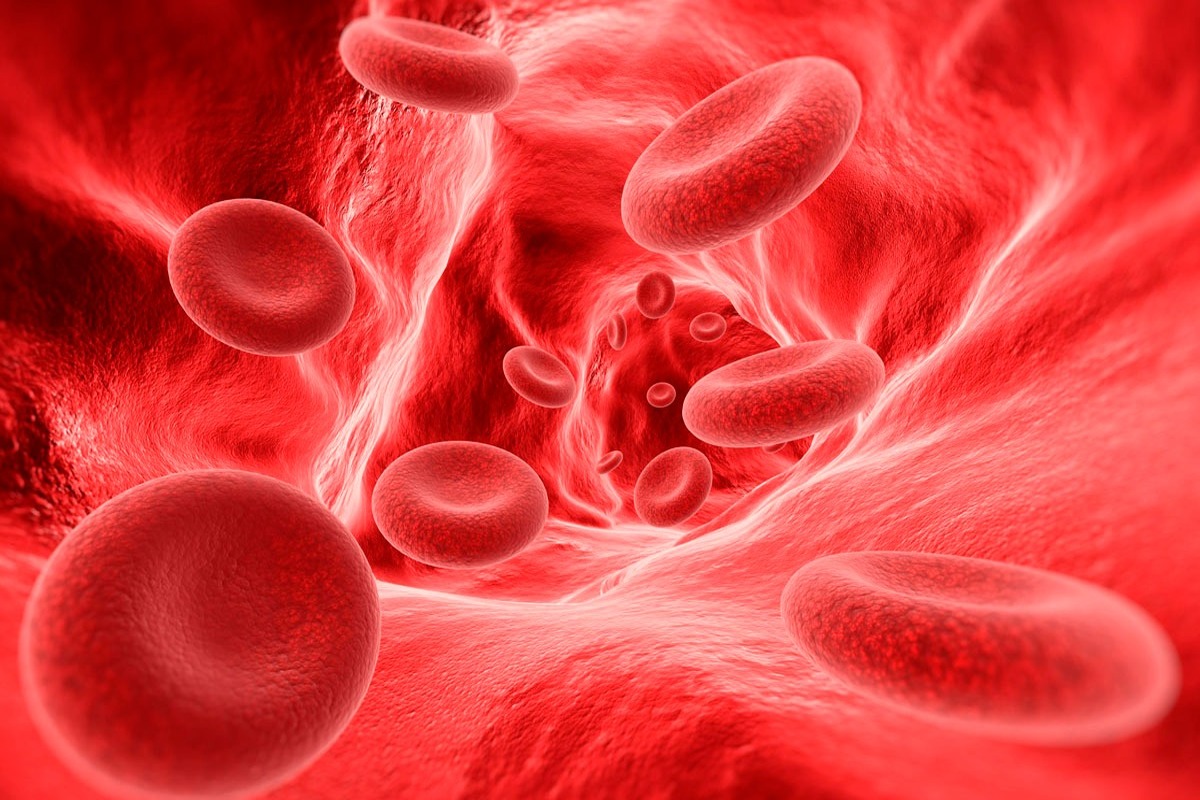 Día Mundial de la Hemofilia: La mayoría desconoce su condición