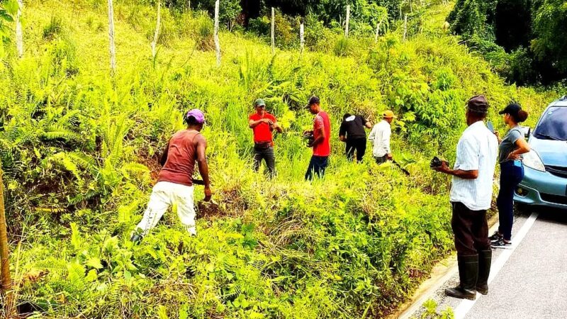 Banco Agrícola busca inyectar más de RD$32 mil millones en préstamos al sector agropecuario