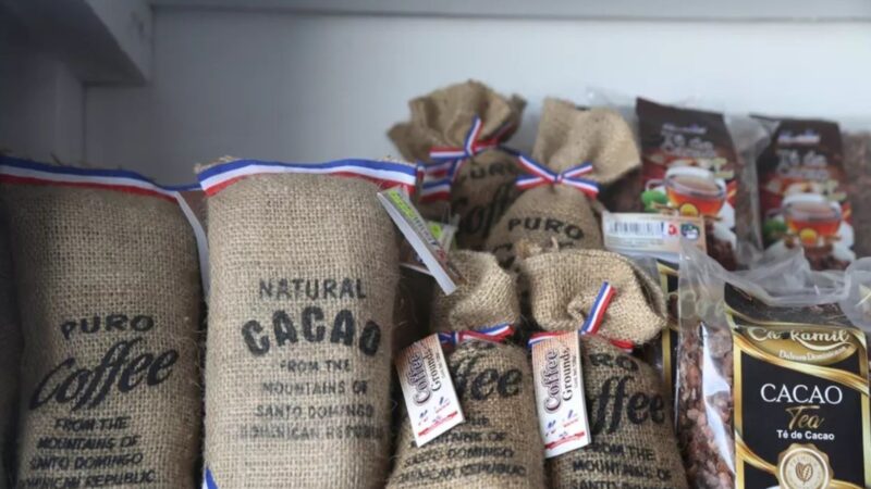 Productores de cacao enfrentan caída de precios y desafíos de calidad