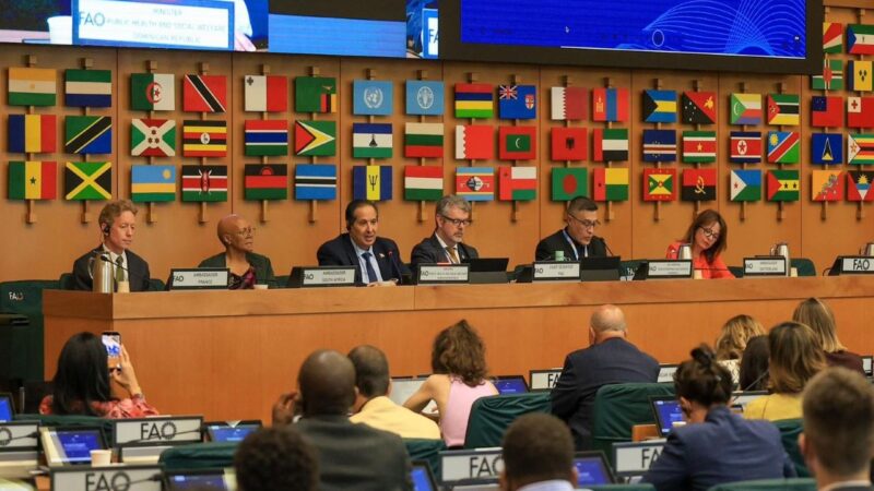 República Dominicana avanza en nutrición y seguridad alimentaria con apoyo de la FAO