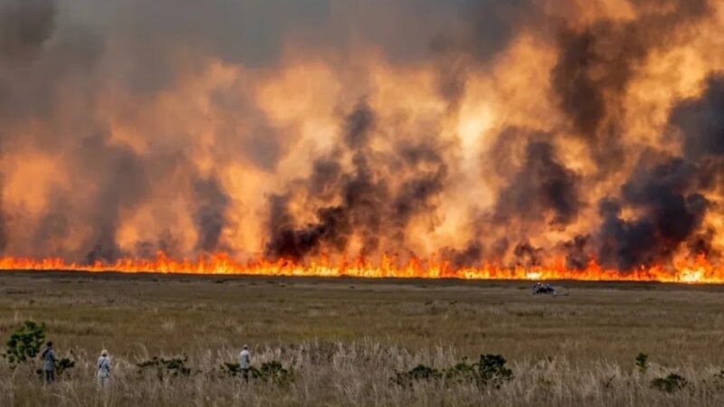 Incendio forestal en Miami genera alerta por densa nube de humo